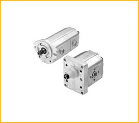 Gear Pumps Motors